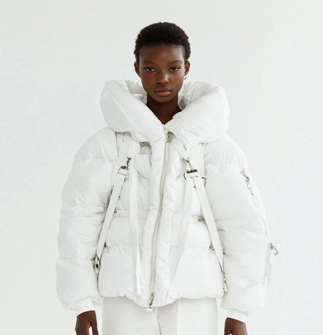 Avant-Garde Puffer Jacket